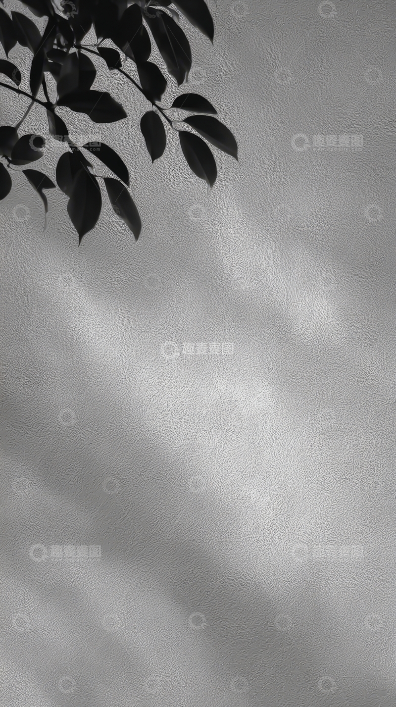 高清大图下载【趣麦麦图】黑白光影下的枝叶