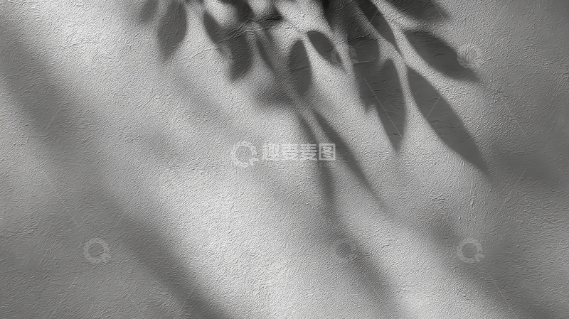 高清大图下载【趣麦麦图】墙面上的树叶阴影