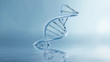 透明DNA双螺旋结构