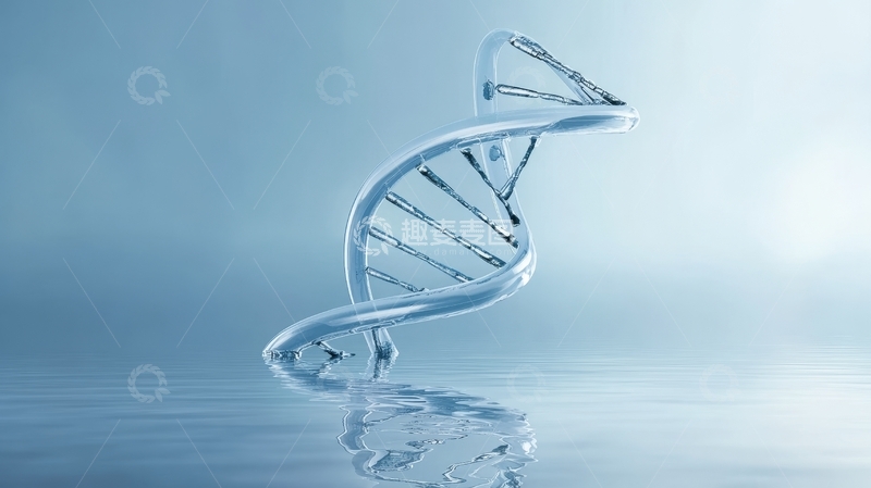 高清大图下载【趣麦麦图】透明DNA双螺旋结构
