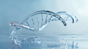 水中的DNA双螺旋结构