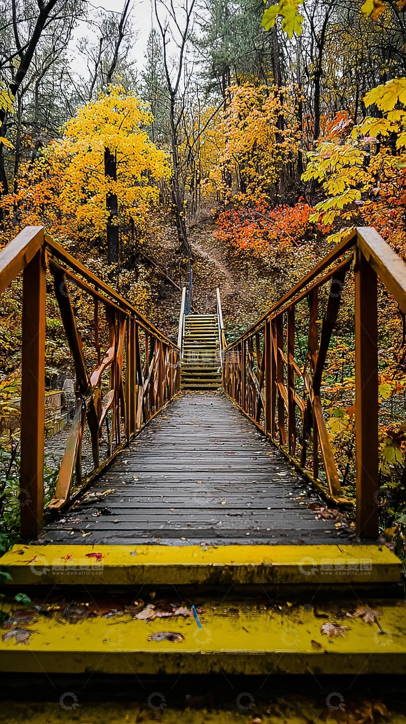 高清大图下载【趣麦麦图】秋日森林中的木桥通向台阶
