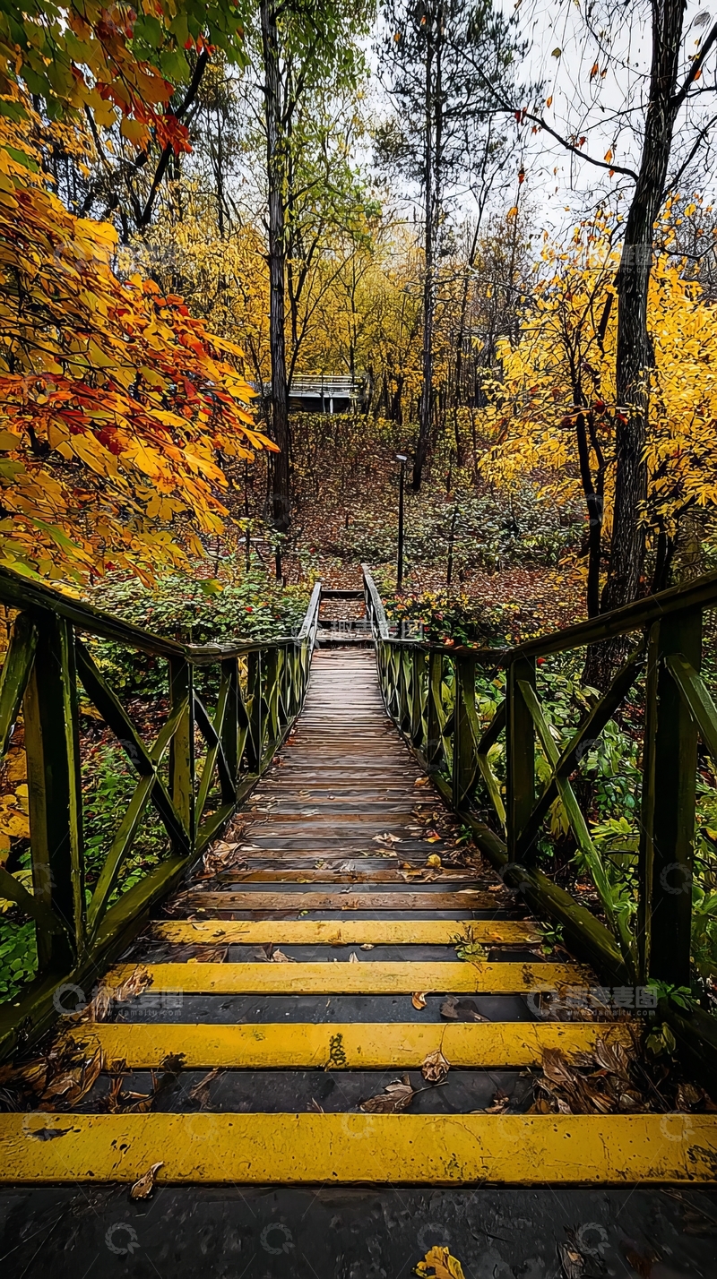 高清大图下载【趣麦麦图】秋天森林中的木质台阶