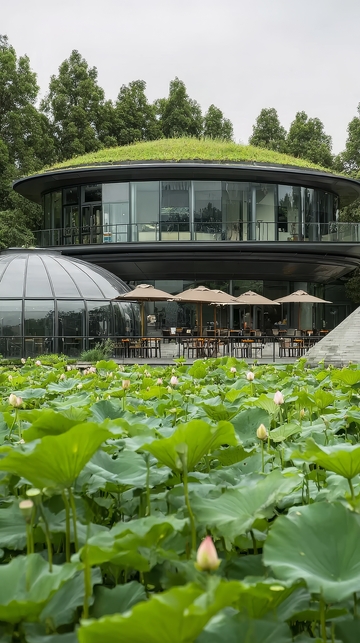 绿色屋顶建筑旁的荷塘景观