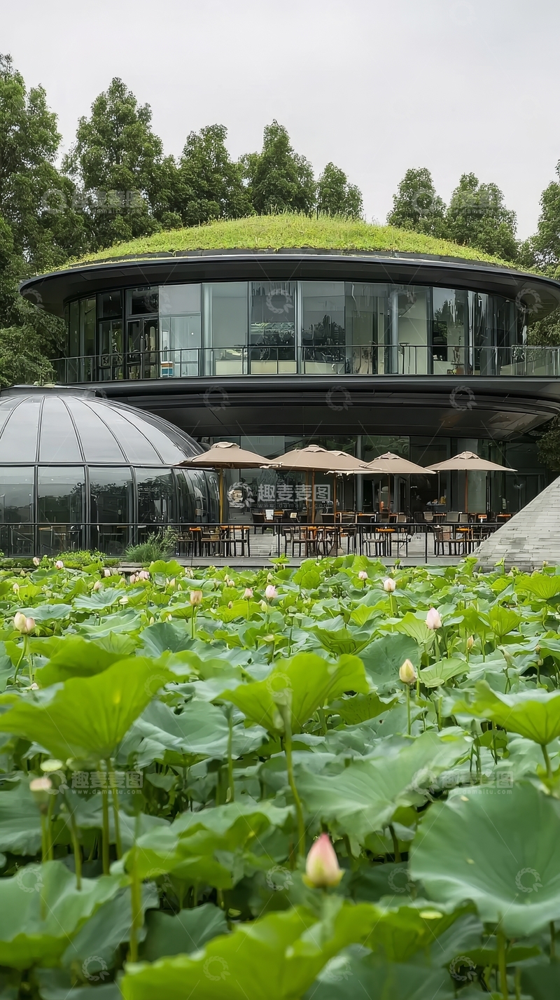 高清大图下载【趣麦麦图】绿色屋顶建筑旁的荷塘景观