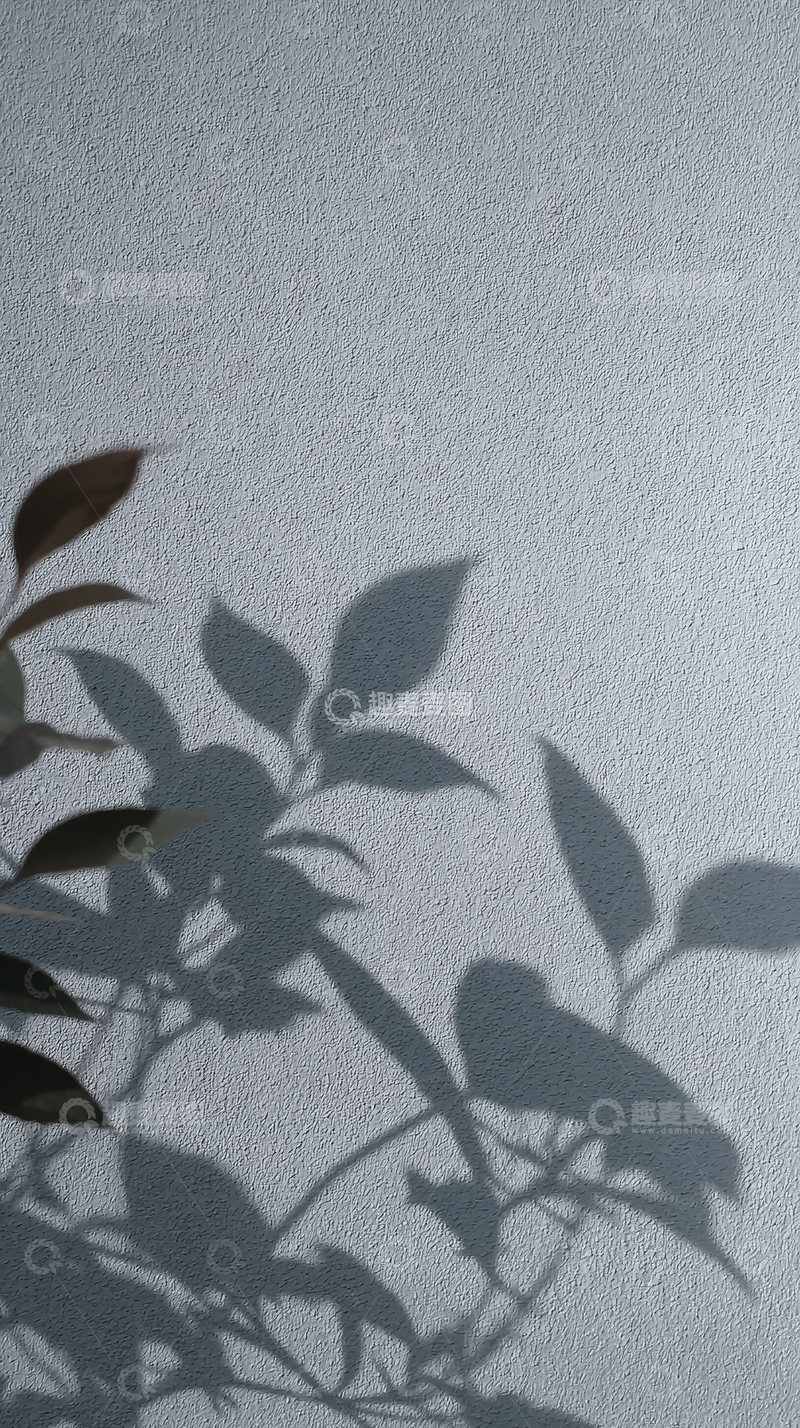 高清大图下载【趣麦麦图】植物叶片在墙上的影子