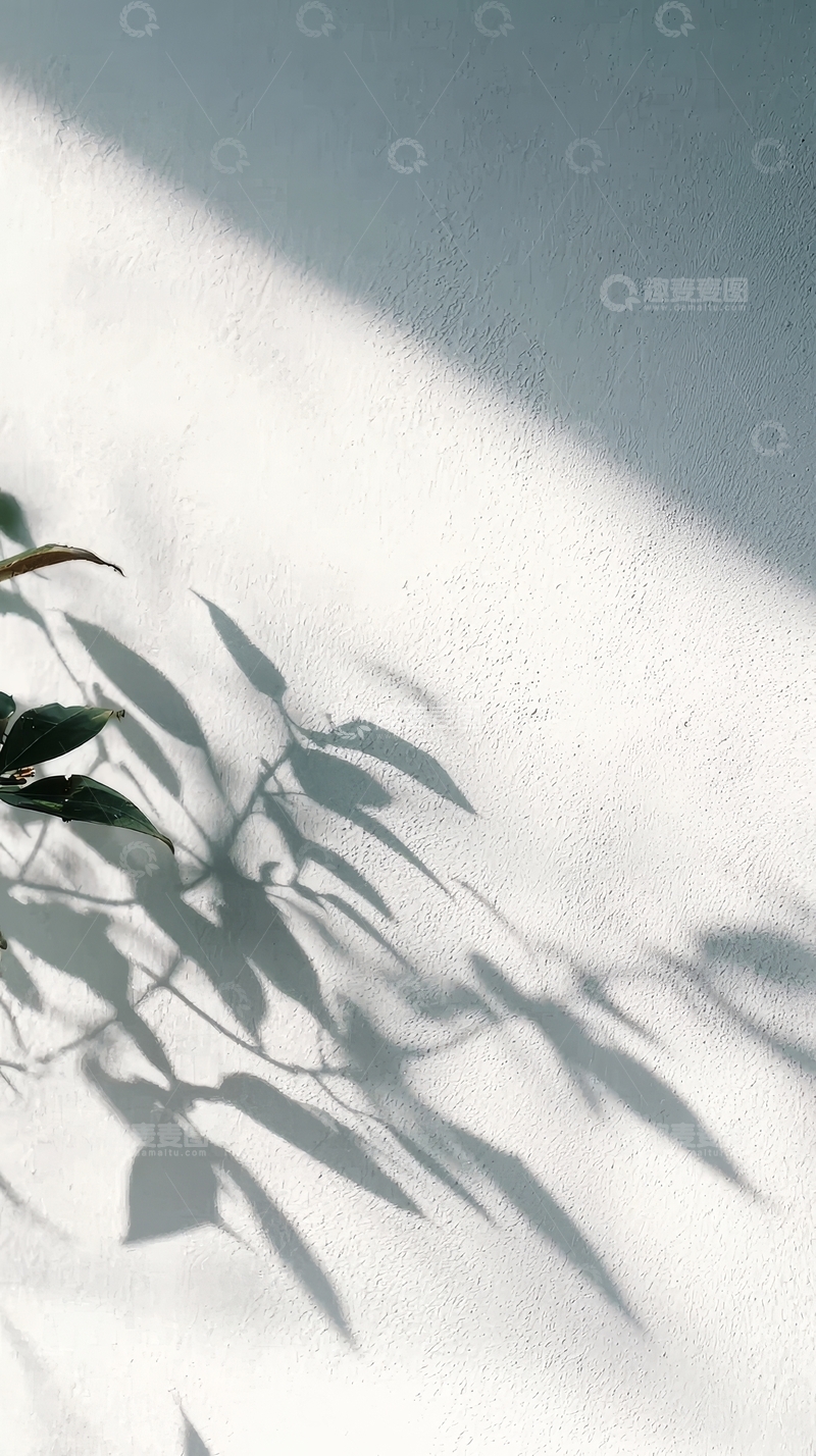 高清大图下载【趣麦麦图】阳光透过树叶投射在墙上的影子