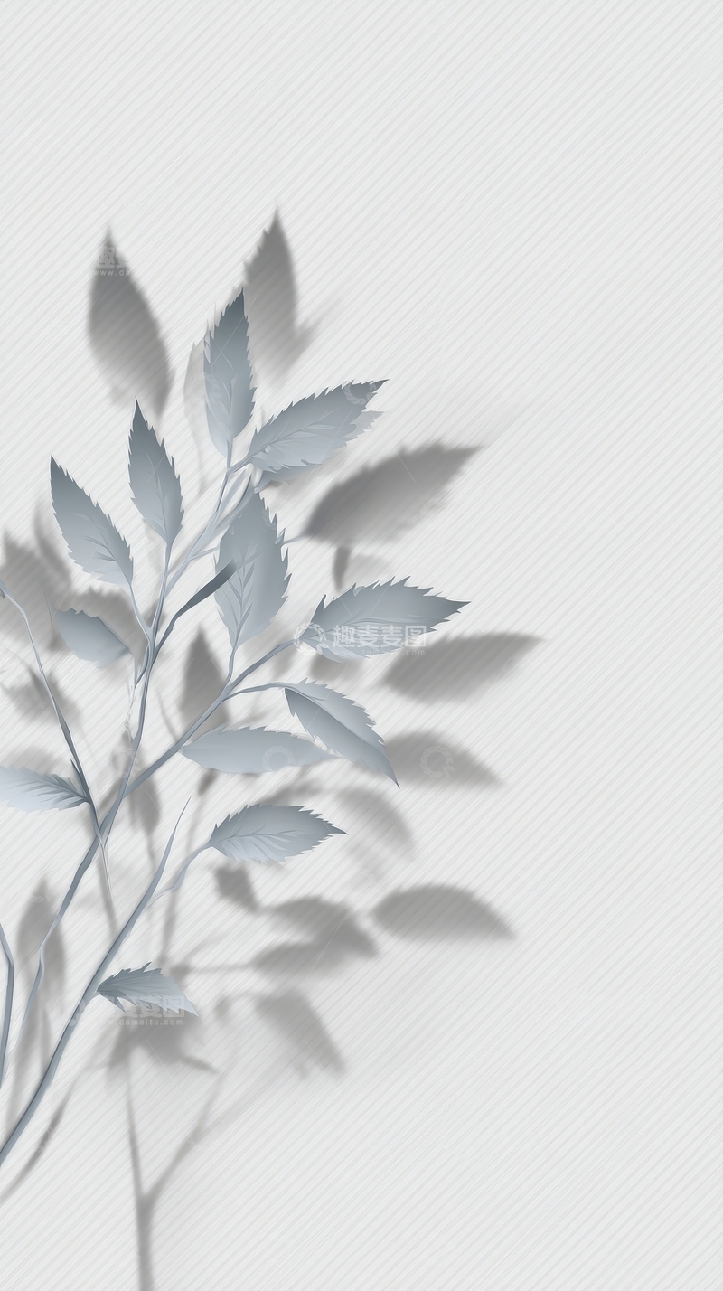 高清大图下载【趣麦麦图】灰白色枝叶在浅色背景上的投影