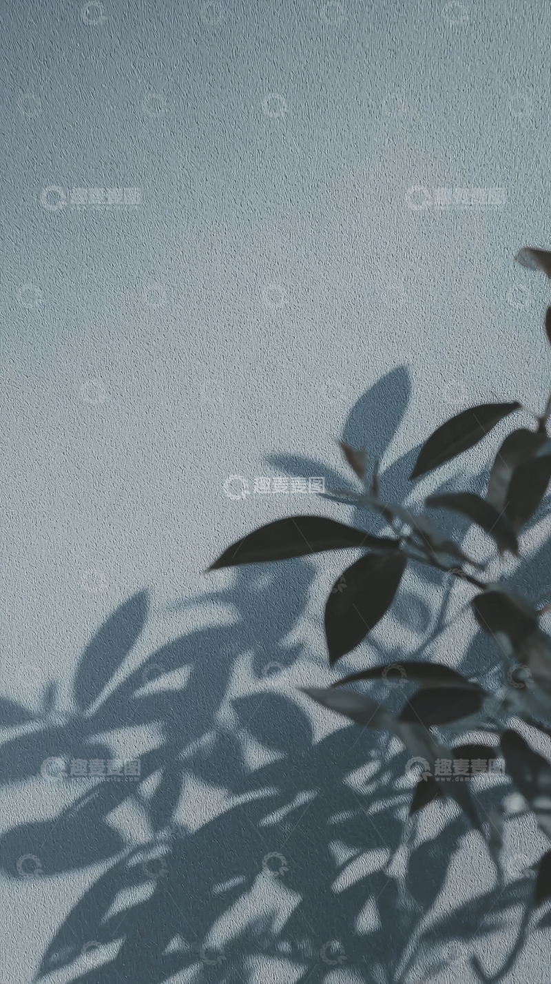 高清大图下载【趣麦麦图】树叶在墙上的影子