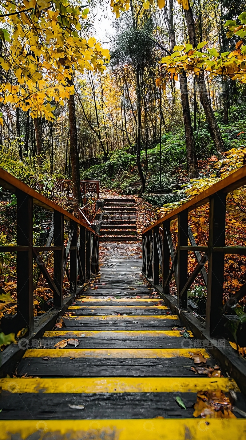高清大图下载【趣麦麦图】秋日森林中的木质台阶