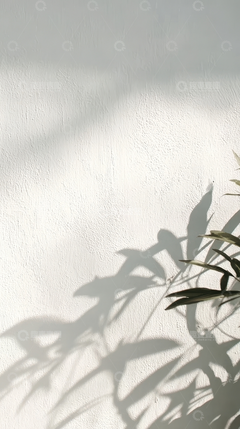 高清大图下载【趣麦麦图】植物影子投射在白色墙面上