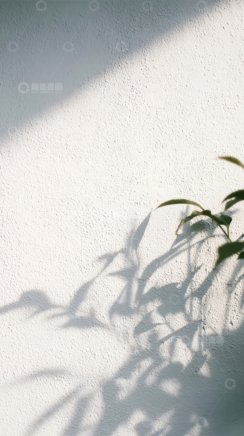 高清大图下载【趣麦麦图】植物阴影投射在白色墙面上