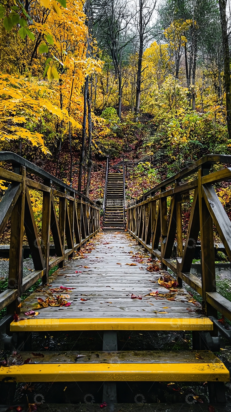 高清大图下载【趣麦麦图】秋日森林中的木桥通向台阶