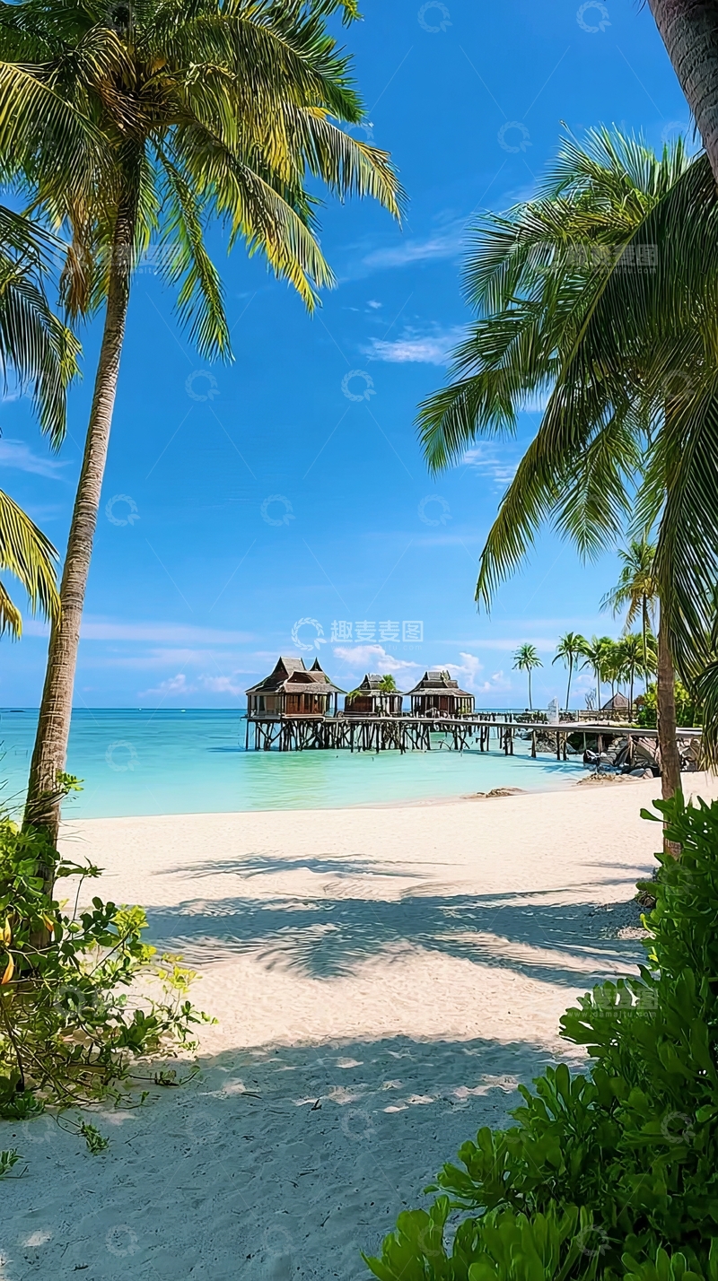 高清大图下载【趣麦麦图】热带海滩上的水上木屋