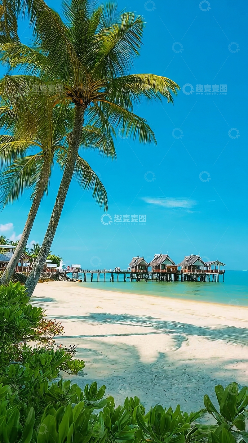 高清大图下载【趣麦麦图】热带海滩椰树与水上屋
