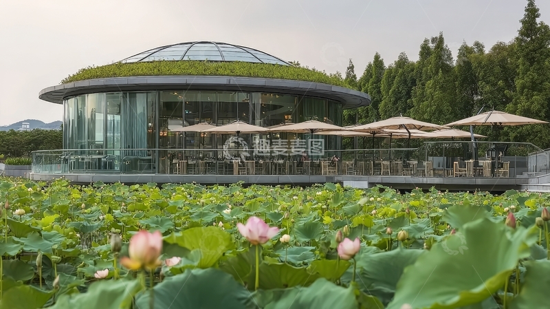 高清大图下载【趣麦麦图】圆形玻璃建筑旁的荷花池