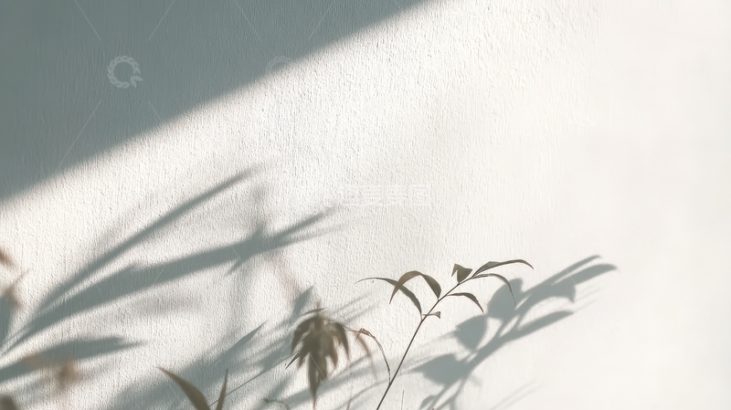 高清大图下载【趣麦麦图】植物阴影投射在白色墙面上