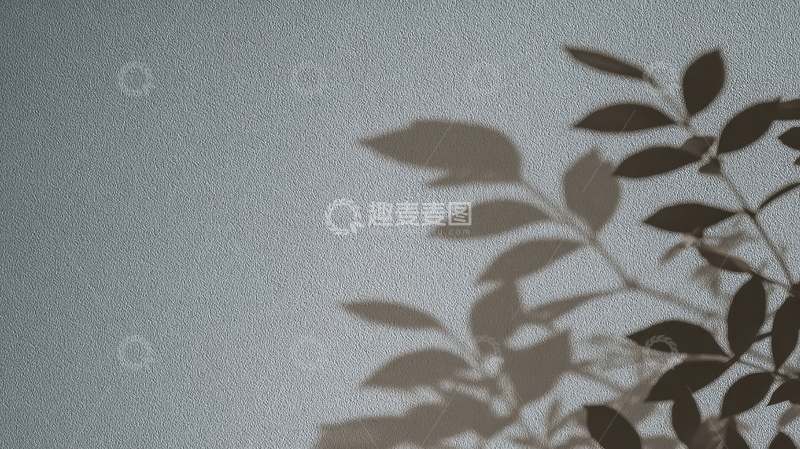 高清大图下载【趣麦麦图】植物叶子在墙上的影子