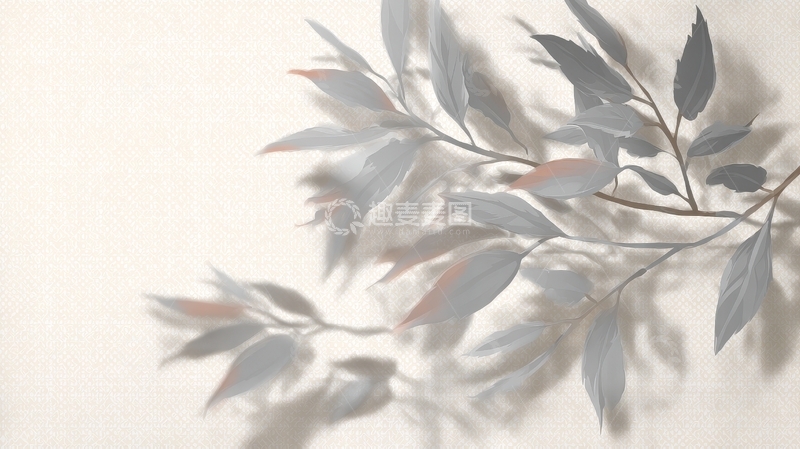 高清大图下载【趣麦麦图】枝叶在浅色背景上的投影