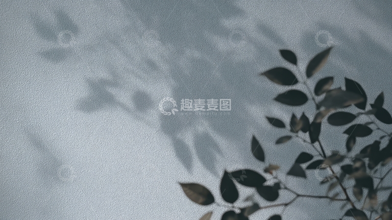 高清大图下载【趣麦麦图】树叶在墙上的影子