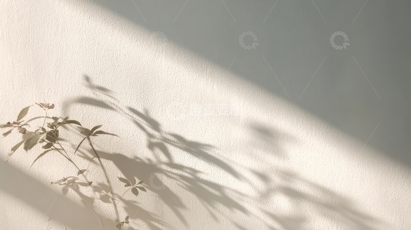 高清大图下载【趣麦麦图】阳光透过植物投射在墙上的影子