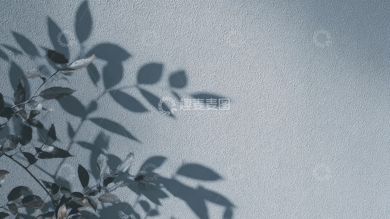 高清大图下载【趣麦麦图】树叶在墙上的影子