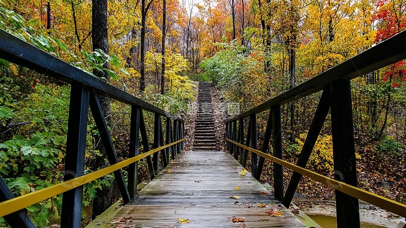 高清大图下载【趣麦麦图】秋日森林中的木桥小径