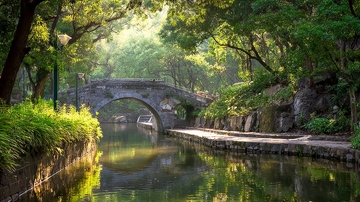 石桥横跨静谧溪流绿树成荫