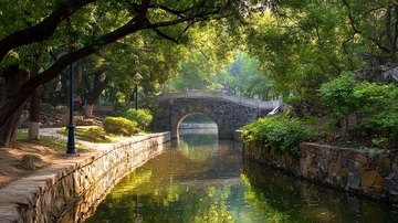 石桥横跨绿树成荫的水道