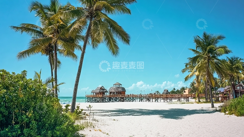 高清大图下载【趣麦麦图】热带海滩棕榈树和木栈桥