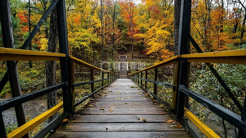 高清大图下载【趣麦麦图】秋日森林中的木制步道