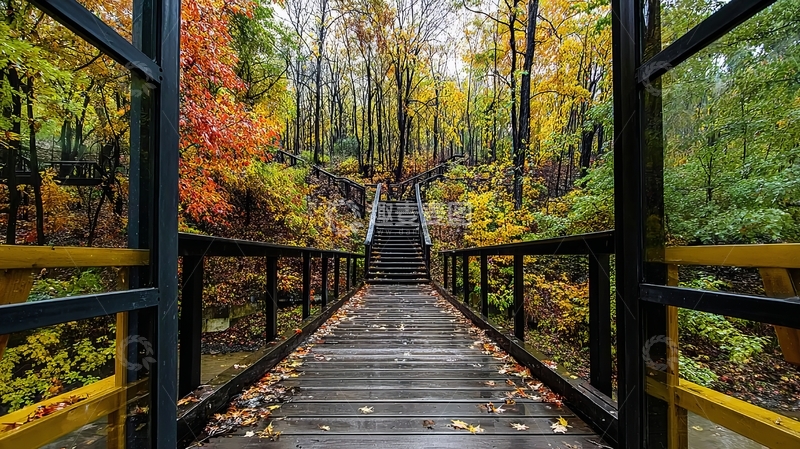 高清大图下载【趣麦麦图】秋日森林中的木质栈道