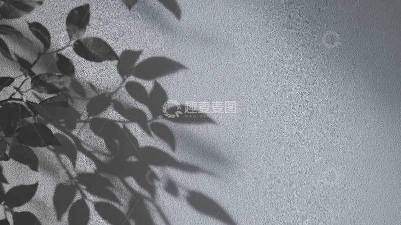 高清大图下载【趣麦麦图】树叶在墙上的影子