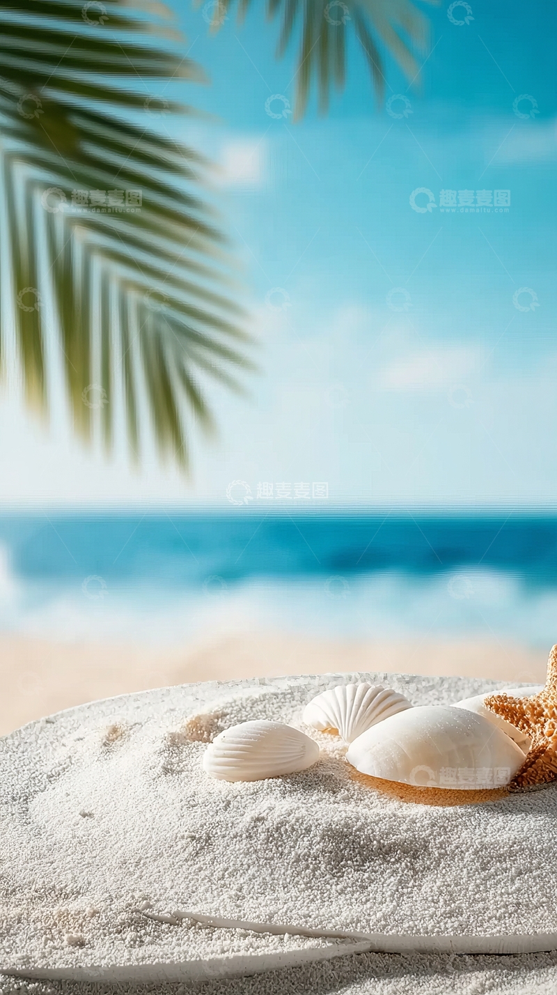 高清大图下载【趣麦麦图】海滩上的贝壳与棕榈叶构成的夏日风景