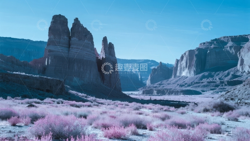 高清大图下载【趣麦麦图】粉紫色植被与岩石地貌的奇幻自然景观