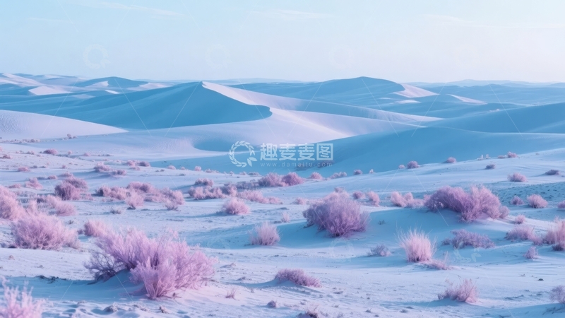高清大图下载【趣麦麦图】梦幻沙漠景观粉紫色植被与沙丘交织