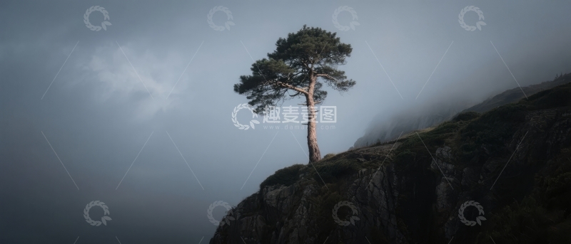 高清大图下载【趣麦麦图】孤树屹立悬崖之上雾气缭绕
