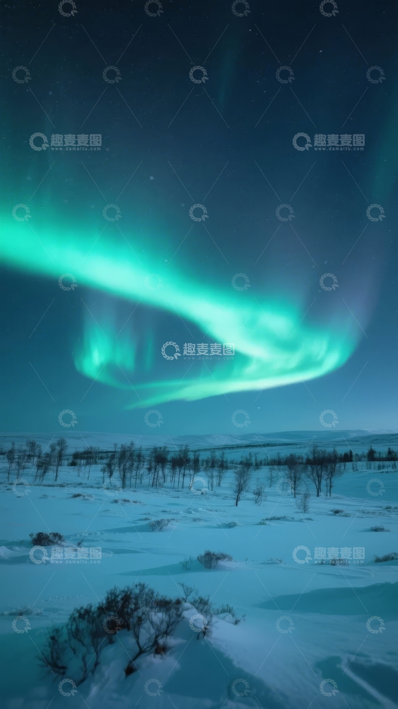 高清大图下载【趣麦麦图】雪地夜空极光舞动壮丽自然景象