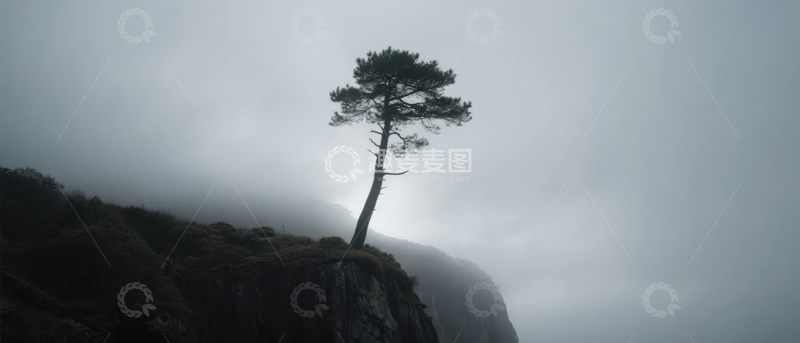 高清大图下载【趣麦麦图】孤树屹立悬崖之上雾气缭绕