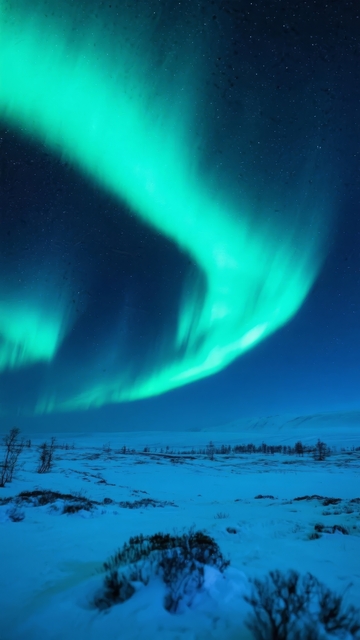 极光在雪地夜空下的壮丽景象