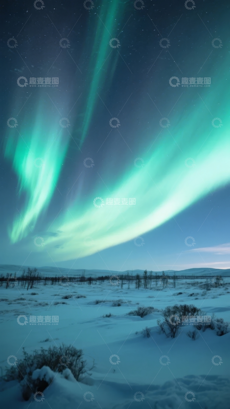 高清大图下载【趣麦麦图】夜空中绚丽的绿色北极光覆盖雪地景观
