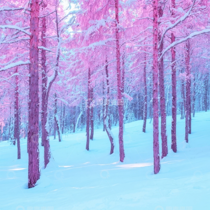 高清大图下载【趣麦麦图】粉红色雪林中的宁静冬日景象