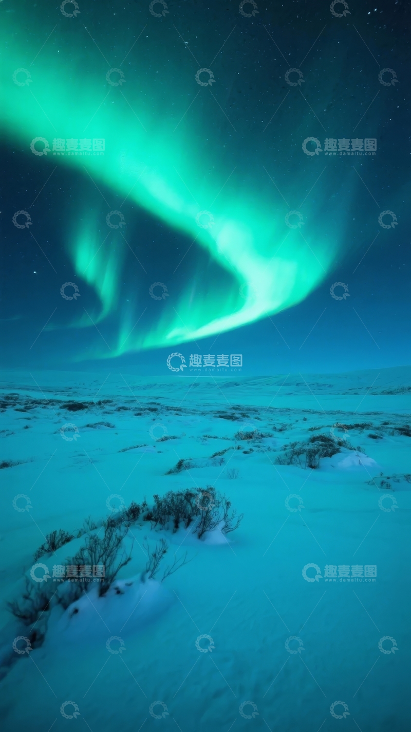 高清大图下载【趣麦麦图】极光在雪地夜空中的壮丽景象