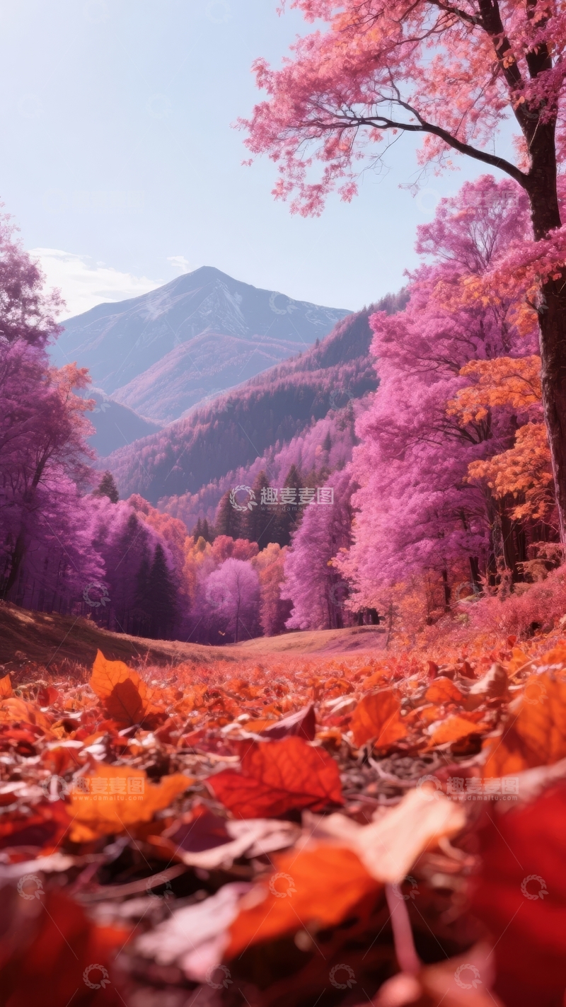 高清大图下载【趣麦麦图】色彩斑斓的秋日山林小径