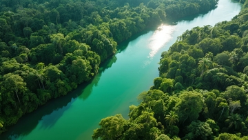 热带雨林中蜿蜒的碧绿河流俯瞰景象