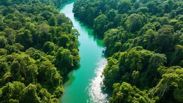 热带雨林中蜿蜒的碧绿河流航拍景象