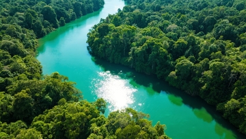 热带雨林中蜿蜒的碧绿河流航拍景象