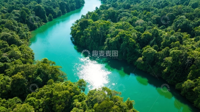 高清大图下载【趣麦麦图】热带雨林中蜿蜒的碧绿河流航拍景象