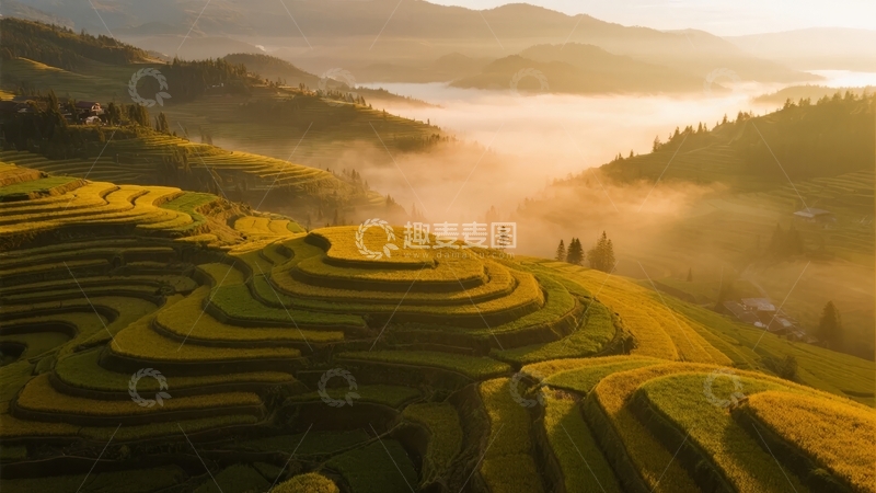 高清大图下载【趣麦麦图】日出时分梯田层叠云雾缭绕的壮丽景色
