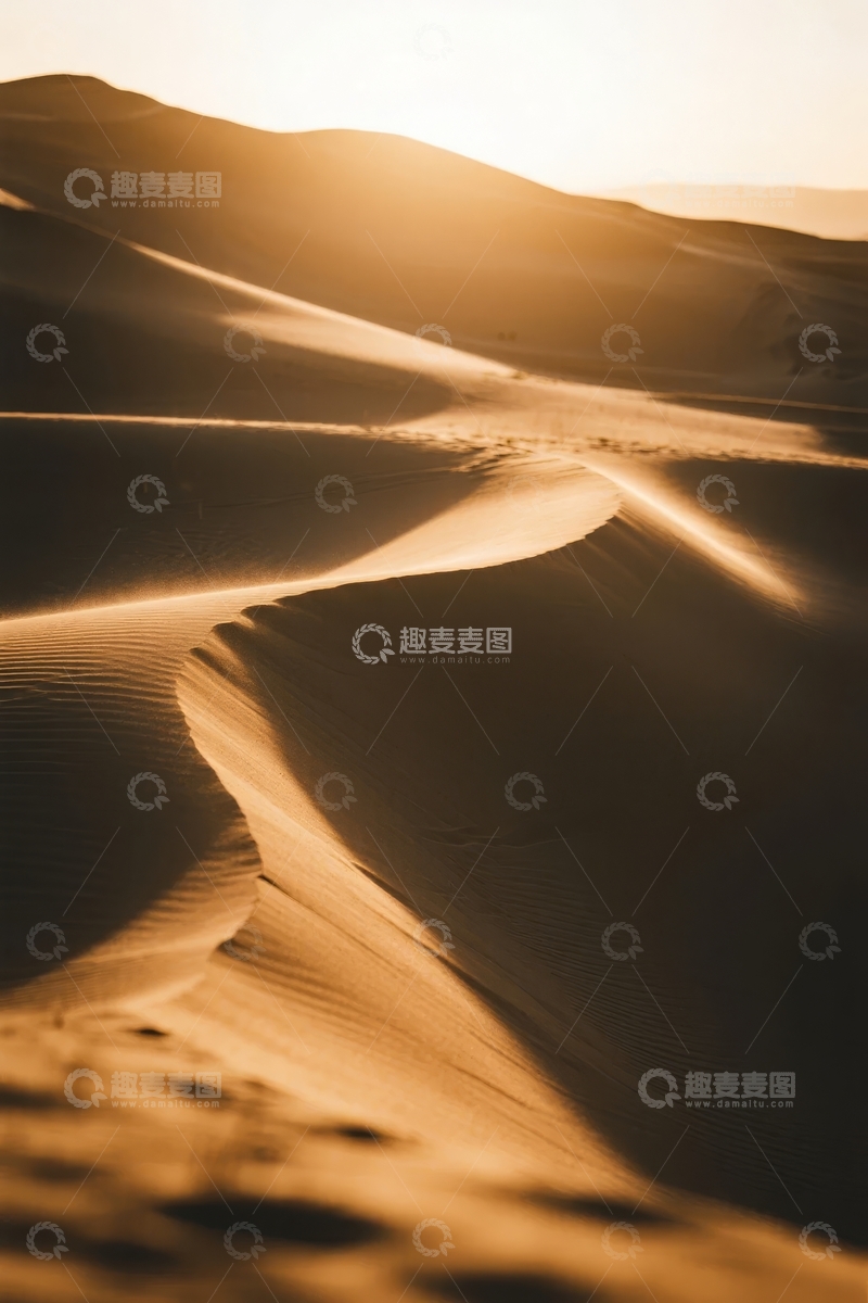 高清大图下载【趣麦麦图】金色阳光下的沙漠沙丘光影交错